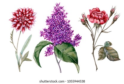 ナチュラル 花 のイラスト素材 画像 ベクター画像 Shutterstock