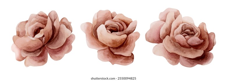 Rose Heads. Dusty pink garden flowers. Set of watercolor hand painted floral illustration isolated on white background for wedding design, home and table textile, porcelain crockery, cosmetic package - Powered by Shutterstock