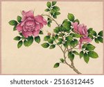 Rose illustration (18th Century) painting by Zhang Ruoai. Vintage pink rose art drawing illustration, old flower painting art print.