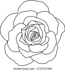 Sketch Rose Branch Hand Drawn Ink Stock Vector (Royalty Free) 188212349