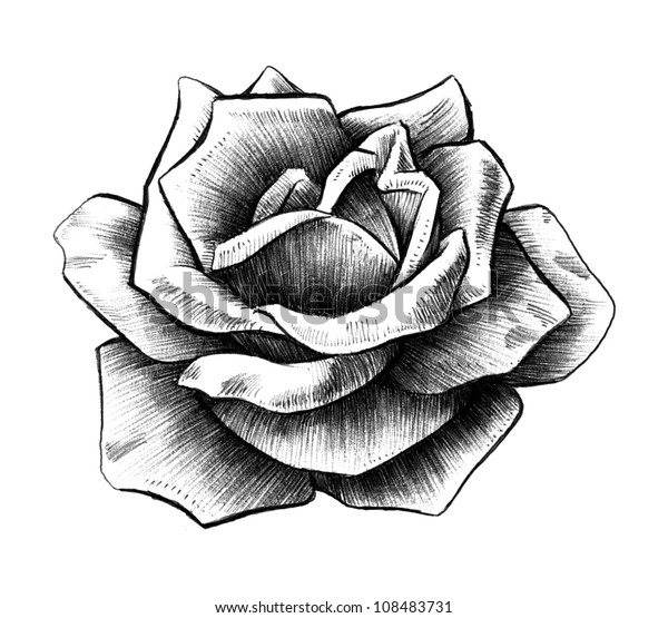 Rose Rendering Stock Illustration 108483731