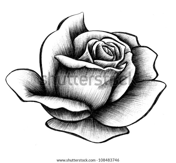 Rose Rendering Stock Illustration 108483746