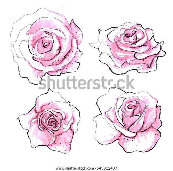 バラセット リアルな鉛筆で描いたバラの花の背景 インク 鉛筆 水彩 ピンクのマーカー 植物学のイラスト グリーティングカード はがき 招待状 ファブリック用のビンテージデザイン のイラスト素材