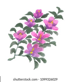 Rose sharon  the national flower Korea  is 7 5 centimeters in diameter   usually has red   pink  pink  purple  purple  purple    brick colors 
