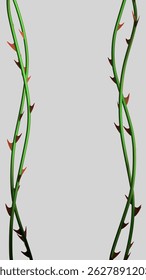 Rose vines with sharp thorns. Prickly vine elements isolated. Prickly vines frame for stories. 3D rendering