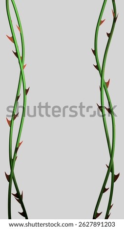 Rose vines with sharp thorns. Prickly vine elements isolated. Prickly vines frame for stories. 3D rendering