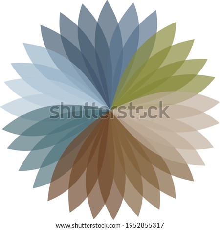 rose windown gothic element mandala