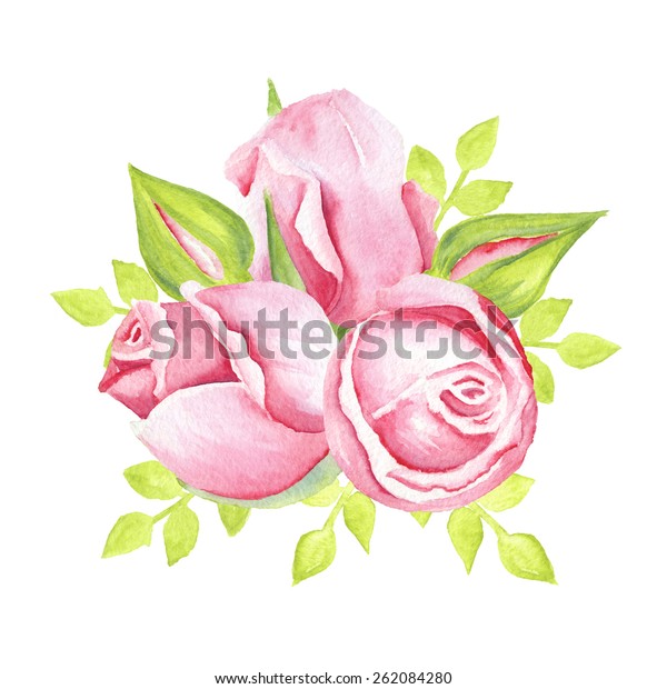 Roses Bouquet Watercolor Drawing Stock Illustration 262084280