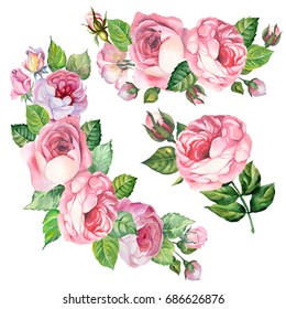 Set Roses Illustrationwatercolor Stock Illustration 1177445866