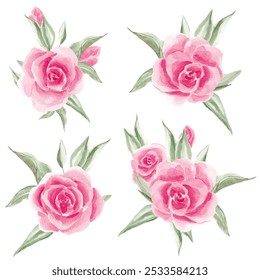 Roses Flowers, blooming. Clip art. Set for decoration. Greeting card decor. Wedding. Birthday. Home interior. Home textiles. Scrubbooking. Watercolor, texture. vintage - Powered by Shutterstock