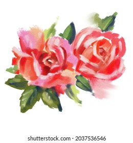 Roses  isolated on a white background. Oil painting. Hand-drawn illustration. 
