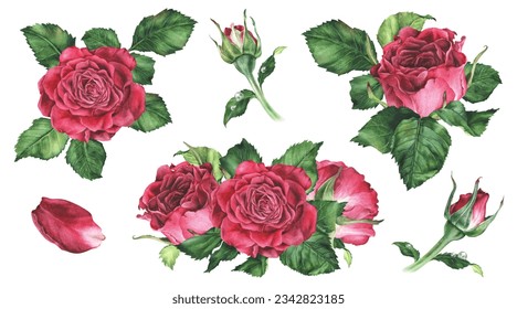 Conjunto roses composiciones 