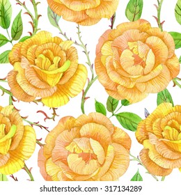 Roses with thorns. Yellow roses seamless pattern. Hand painted watercolor background