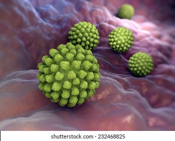 Rotavirus Bacteria