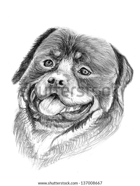 Rottweiler Dog Illustration Sketch Painting Stock Illustration 137008667