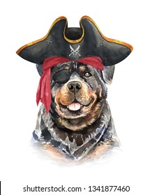Rottweiler. Portrait of a dog. Set with small dogs. Watercolor hand drawn illustration.Watercolor Rottweiler with Pirate blindfold and Pirate hat layer path, clipping path isolated on white background