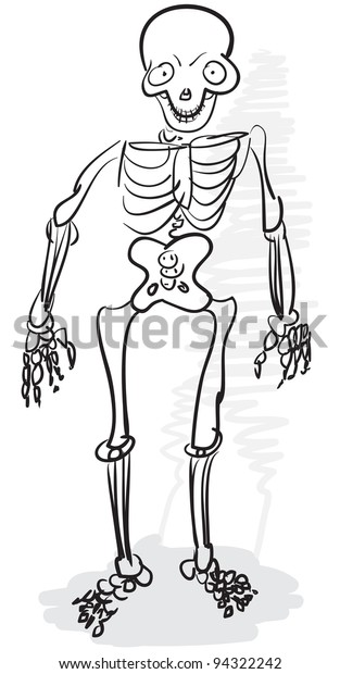 Rough Stylized Monochrome Drawing Human Skeleton Stock Illustration ...