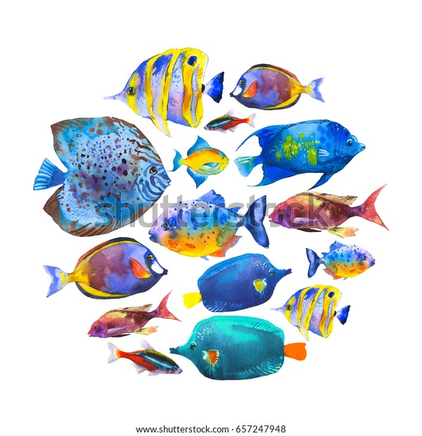 熱帯魚との丸い組成 白い背景に手描きの水族館のエキゾチックな魚の水彩イラスト のイラスト素材