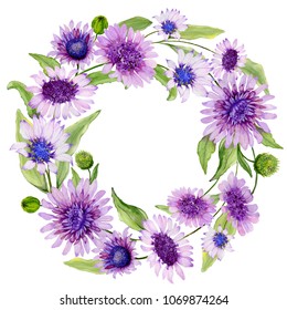 Round Floral Border. Beautiful Blue And Purple Daisy Flowers With Green Leaves On White Background. Watercolor Painting. Hand Painted Spring Illustration.