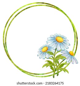 3,830 Bright daisy flowers frame border on white Images, Stock Photos ...