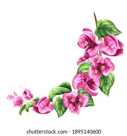 Round frame of Pink Bougainvillea branch with flowers and leaves. Hand drawn watercolor illustration isolated on white background