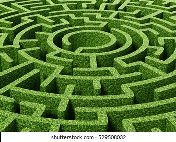 Round garden maze with green bushes as walls. 3D illustration - Shutterstock ID 529508032