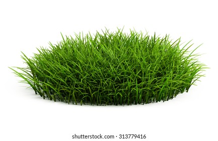 Round Patch Of Fresh Grass Isolated On White