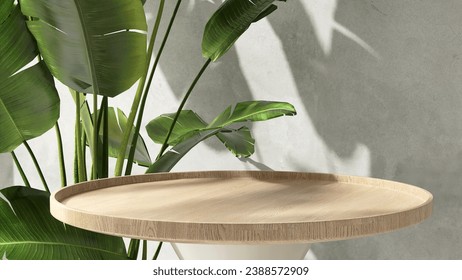 Round wooden podium table, green tropical banana tree plant in sunlight on gray wall. Luxury organic cosmetic, skincare, body care, hair care, treatment, beauty, fashion product display background 3D - Powered by Shutterstock