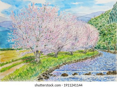 桜並木 のイラスト素材 画像 ベクター画像 Shutterstock