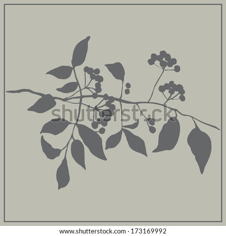 rowan branch