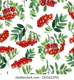  Rowan Watercolor. Branches, Leaves And Red Berries. Seamless Pattern