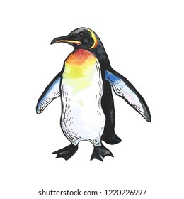 Royal Penguin Watercolor