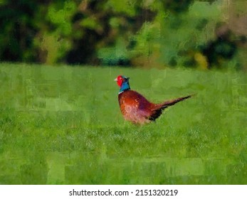 ￼pheasant Running Across An Agricultural Field In England Digital Oil And Ink Pen Painting For Canvas Prints ￼