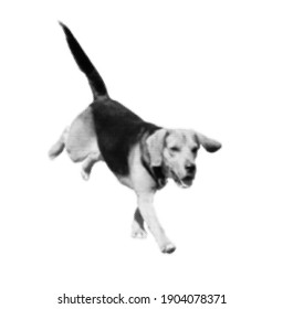 犬 走る のイラスト素材 画像 ベクター画像 Shutterstock