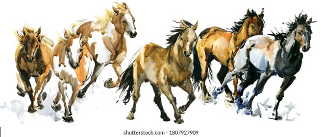 running horses watercolor banner illustration