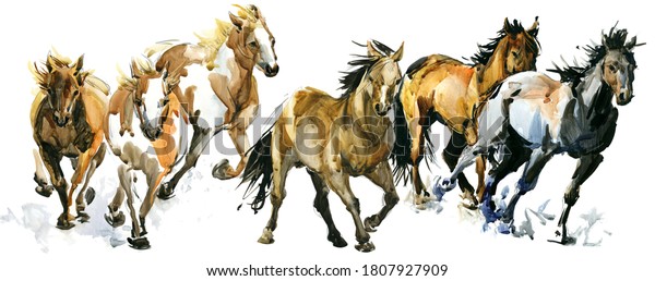 running horses watercolor banner illustration