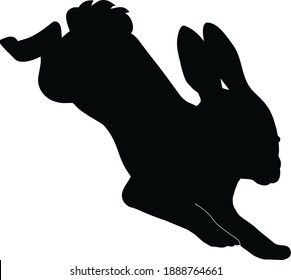 450 Rabbit agility Images, Stock Photos & Vectors | Shutterstock