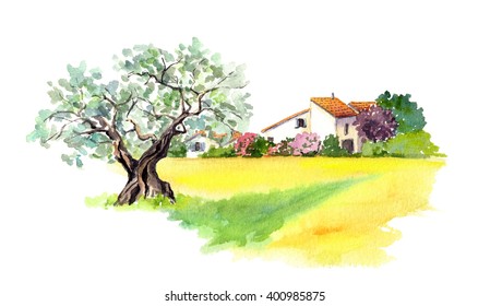 Rural Provencal Farm House, Olive Tree And Yellow Field - Wheat, Sunflower - In Provence, France. Watercolor