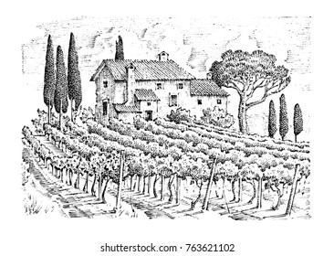 rustic vineyard. rural landscape with houses. solar tuscany background. fields and cypress trees. harvesting and haystacks. engraved hand drawn in old sketch and vintage style for label