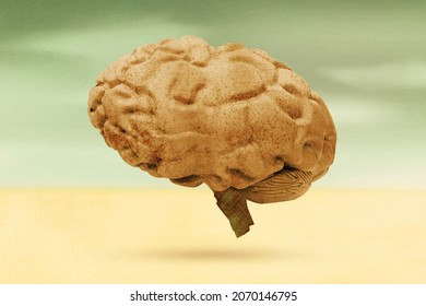 Rusty and 3D Rendered Stone Brain Isolated in a Desert with Grunge and Soil. Lack of brain usage artistic concept