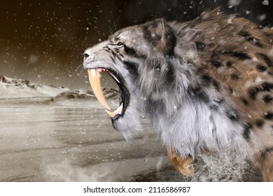 A saber tiger with a wonderful tusk barks in the snowstorm, and it's intimidated. 3D illustration 3D rendering