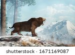 A saber tooth cat stands on a snowy hill and roars into the valley below.  Smilodon populator, the largest cat ever, lived during the Pleistocene era in South America. 3D Rendering