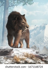 A saber tooth cat stands on a snowy hill and glances into the valley below.  Smilodon populator, the largest cat ever, lived during the Pleistocene era in South America. 3D Rendering
	