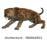 Saber-Tooth Cat Angry 3D Illustration - Saber-Tooth Tiger was an extinct large carnivore that lived worldwide during the Eocene to Pleistocene Eras.