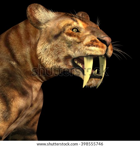 Saber-tooth Cat on Black 3D illustration - The Saber-tooth Cat also called Smilodon was a large predator that lived in the Eocene to Pleistocene Eras in North and South America.