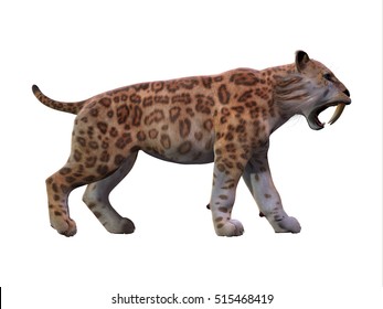 1,590 Saber toothed cat Images, Stock Photos & Vectors | Shutterstock