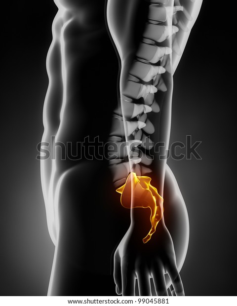 sacral spine
