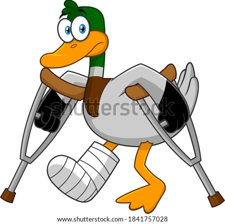 Sad Duck Cartoon Character With Crutches And Plastered Leg. Raster Illustration Isolated On White Background Imagine de stoc © 