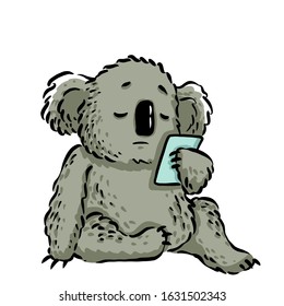 Sad Koala Looks At The Photo