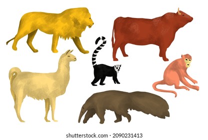 Safari Animals Set, Oil Paint Effect Illustration, Brush Texture, African Animals Set. Lion, Lemur, Bull, Lama, Ant-eater, Chimp Hand Drawing Illustration.